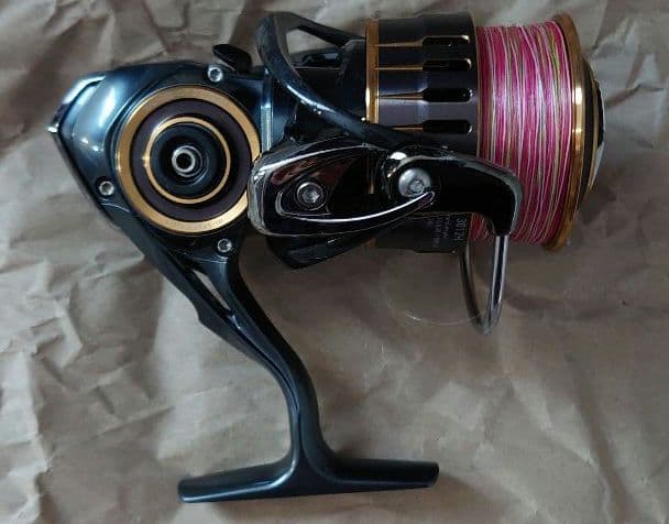 ダイワ(DAIWA) 17セオリー(THEORY) 3012H