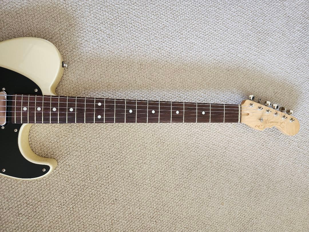 Momose カスタムオーダー テレキャスター ナッシュビル