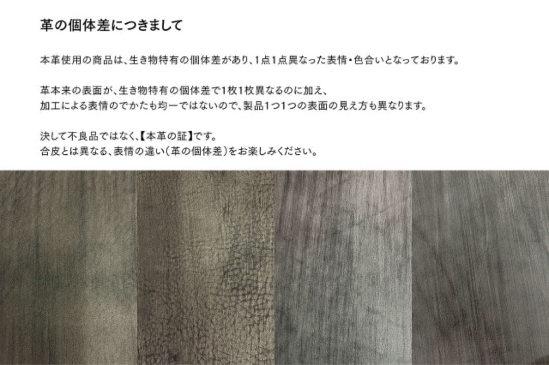 PLOTTER ホースヘア II レザージャケット　6穴リング A5