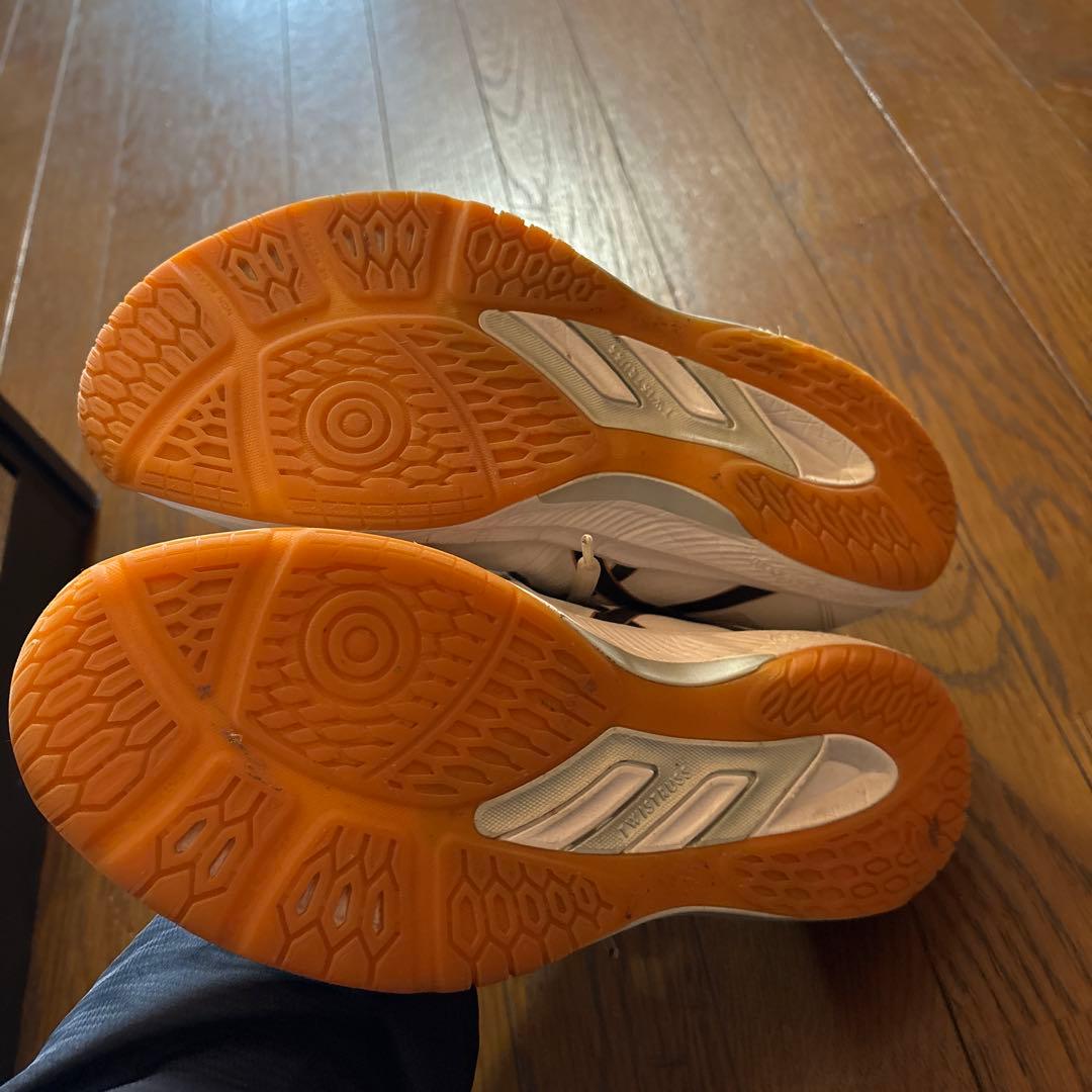 asics バレーボールシューズ ホワイト