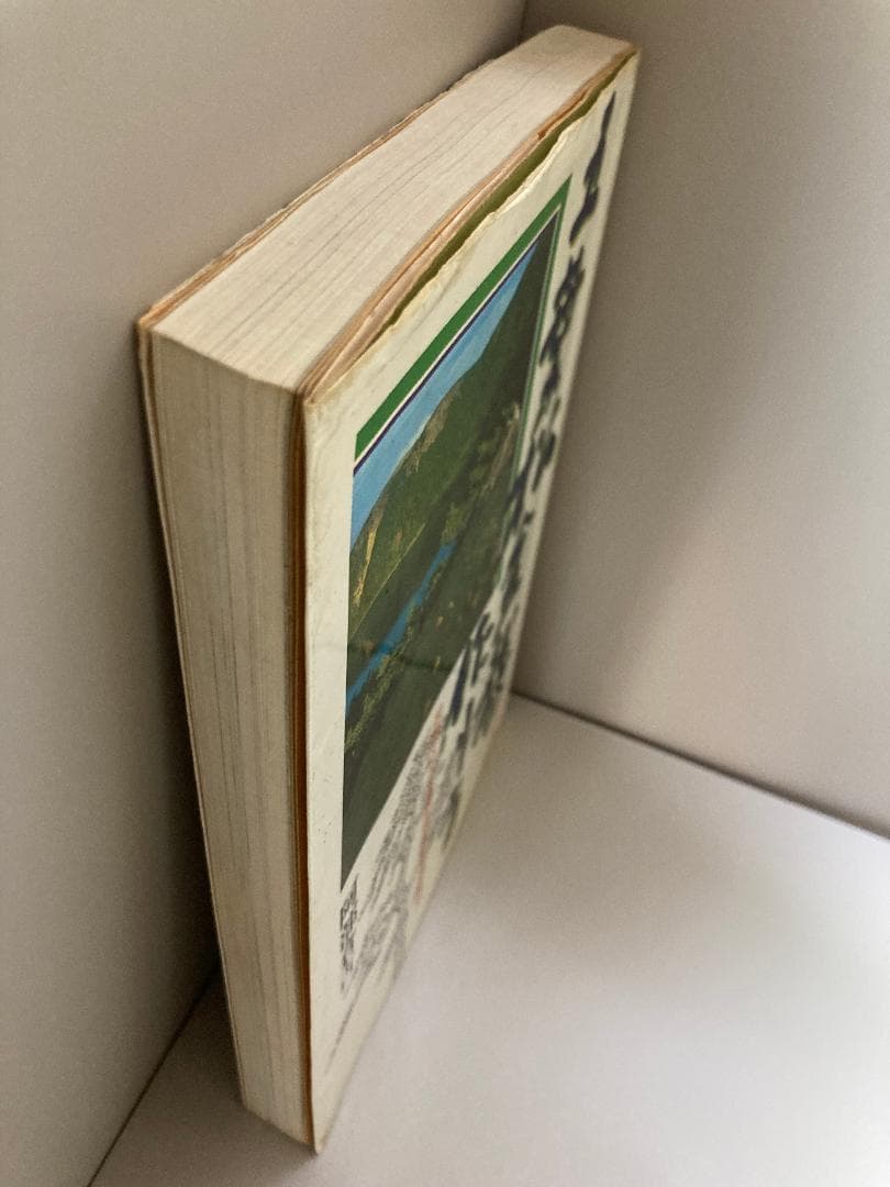 五葉松盆栽の作り方―図解で示す盆栽樹形の整姿・整形