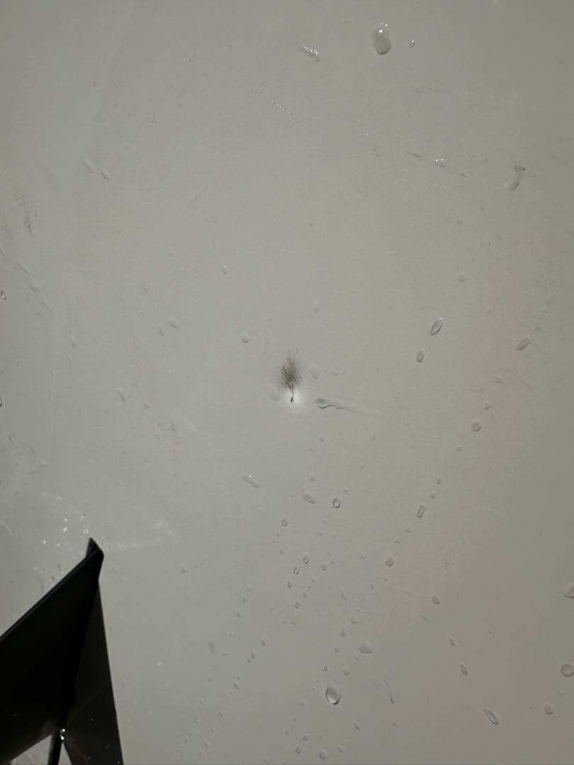 カレー大好きさん専用.CJ NELSON 10ft 美品ソフトトップボード