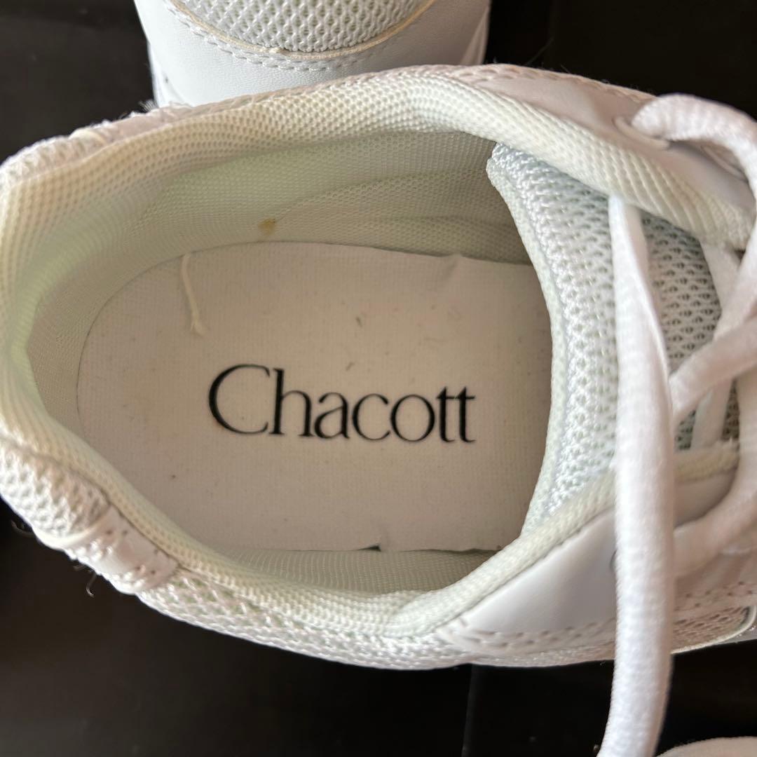 【新品】Chacott チャコット　ダンシングスニーカー　ホワイト　24.5㎝