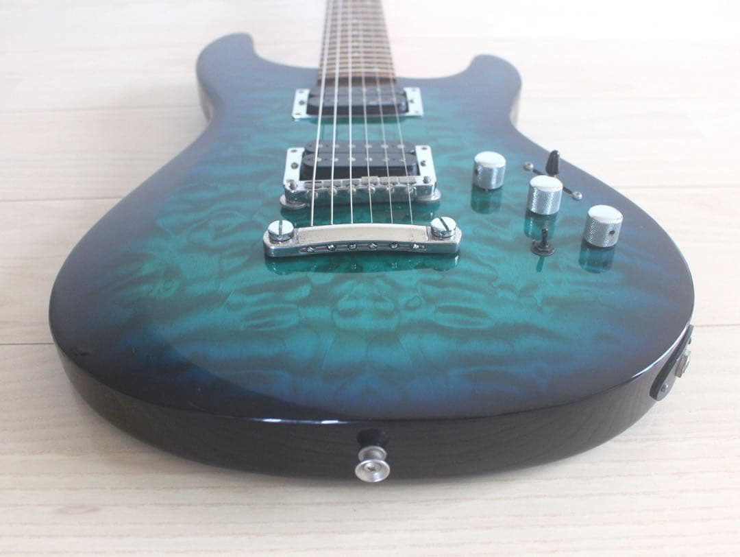 Fernandes フェルナンデス APG-65S サスティナー搭載